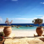 14462793_1169424596453208_631702891866848821_n