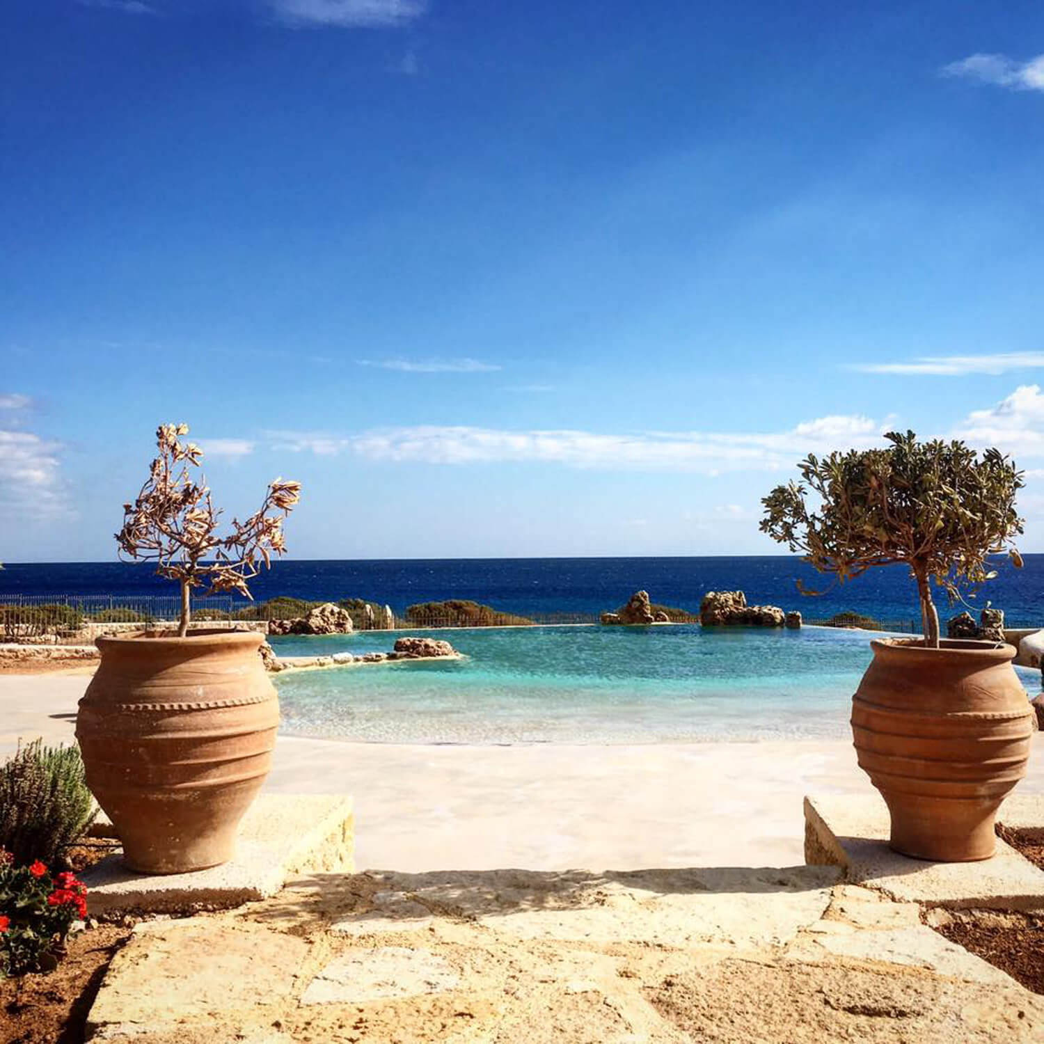 14462793_1169424596453208_631702891866848821_n